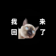 帕拉图第一摆子