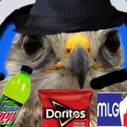 Hawk - steam id 76561197965606259