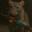 rat