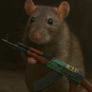rat