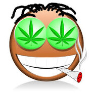 drug war veteran