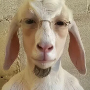 twitch/tv:vaservagaoleg avatar