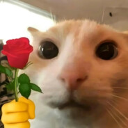 So Can We Be Friends?