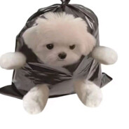 这个男人叫小帅