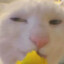 EPiphany66681
