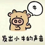 社会主义接班人