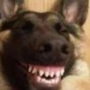 翻斗花园自由人健康哥