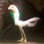 manok killer