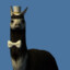 Fancy LLama