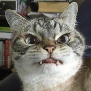 我比纸巾还能扯