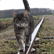 Kenzo - steam id 76561197963235969