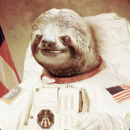 Space Sloth