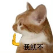 这儿有猫腻诶