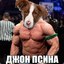 Джон Псина