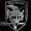 FoxHound