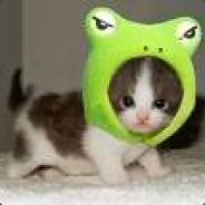 KittyKittyShartShart