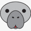 Mr.Dugong