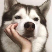 兔子耳朵长又长