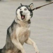 我只需二百小刀手