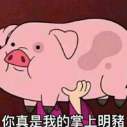 你真是我的掌上名猪