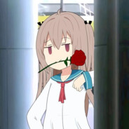 叱咤月海鱼鱼猫