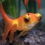 Sgt. Goldfish