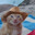 Mr. Manatee avatar