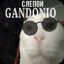 слепой GANDONIO