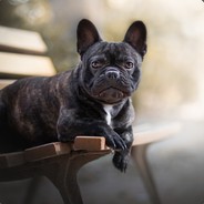 社会主义丶核心价值观