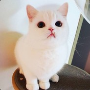 76561198099353494