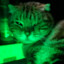 FATCAT