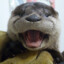 Otter