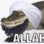 ALLAHGATOR