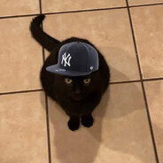 Meowmeowmeow222 - steam id 76561199657556234