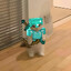 Steam avatar