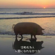 好想成为人类啊