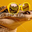 krokodil aligator