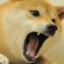 Pumarxed._.神