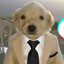 sʙ&#039;ᶻ Perrito insano sigma