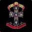 Guns N Roses