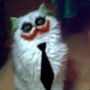 fishka74