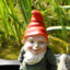 CrazyGnomeLady