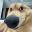 iiKun