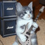 Cat Rocker