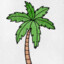 Palm