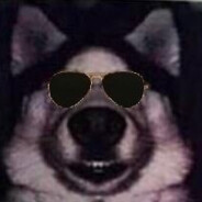 Cool Dog