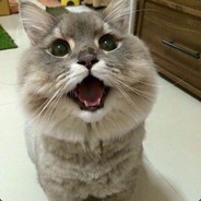 \A - steam id 76561198000930388
