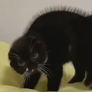 お仮病でお休み