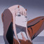 General Franxx