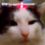 ๋WL0rD1
